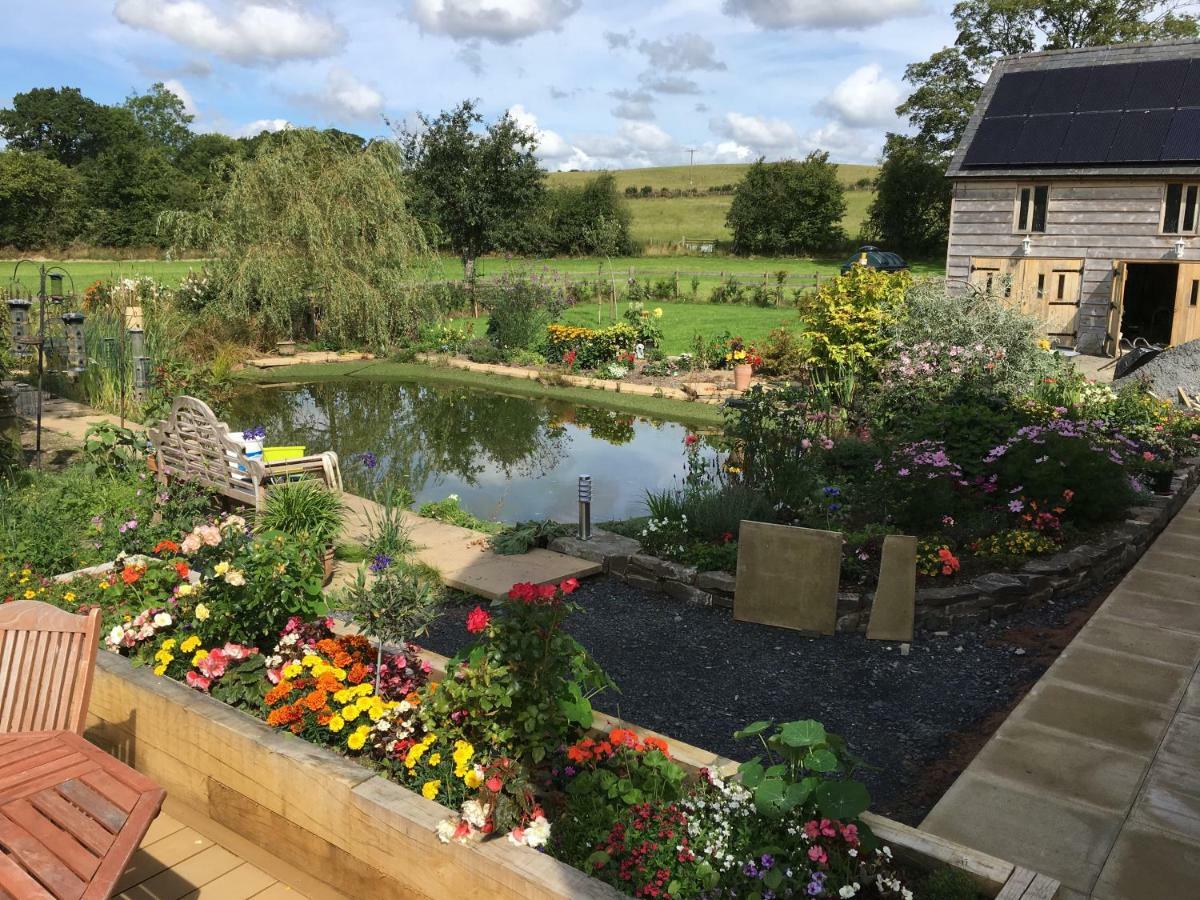 Bed and Breakfast Rhyd Lydan Newtown  Exteriér fotografie